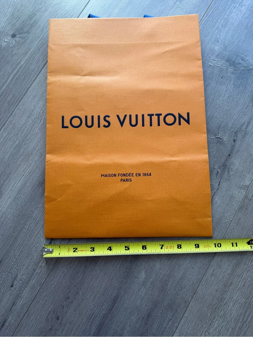 Louis Vuitton shopping bag